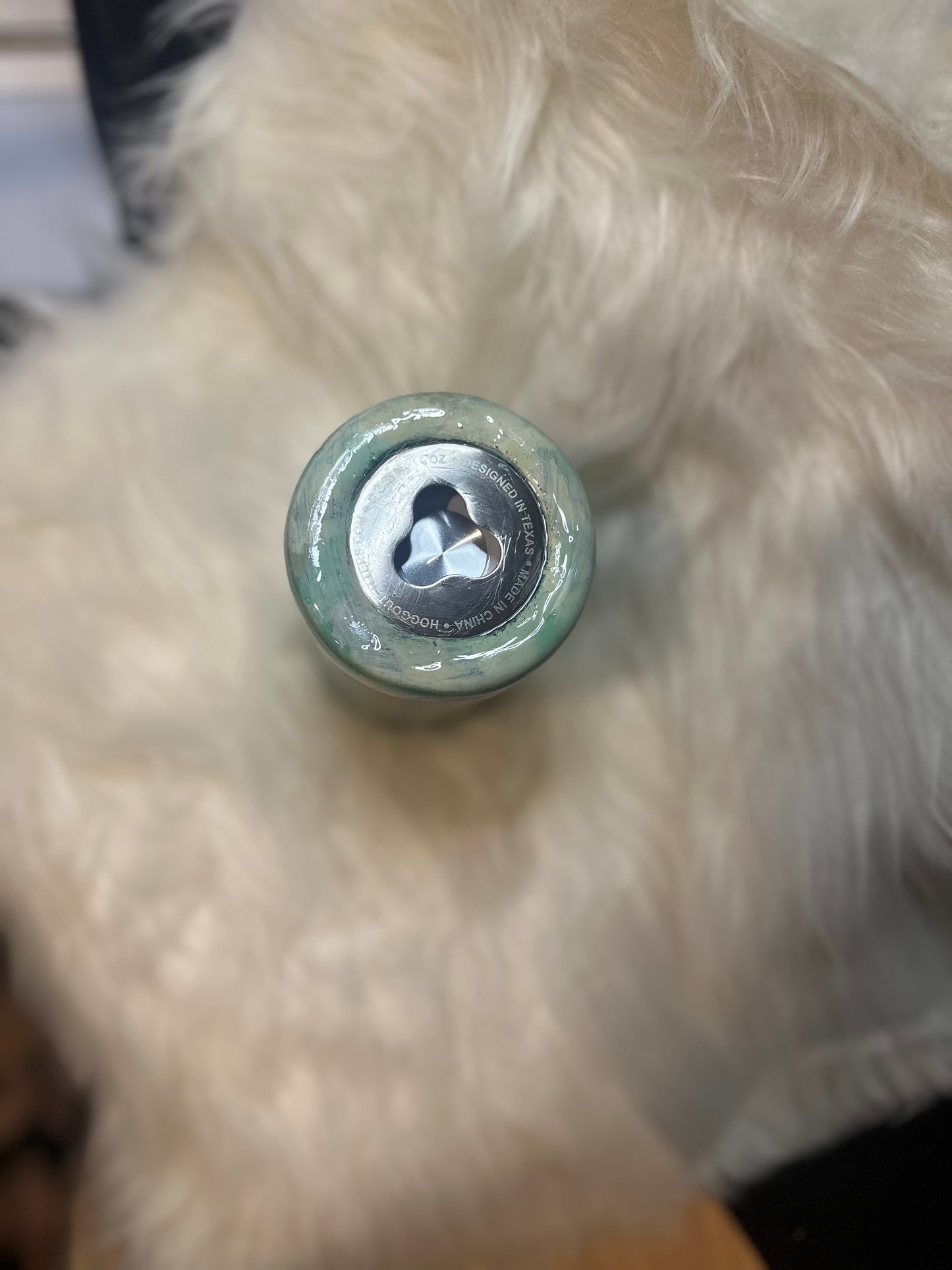 4 in 1 cooler ~"Stay wild ocean child"